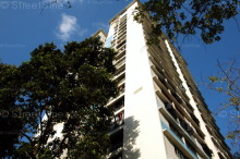 Blk 109 Spottiswoode Park Road (Bukit Merah), HDB 5 Rooms #150282
